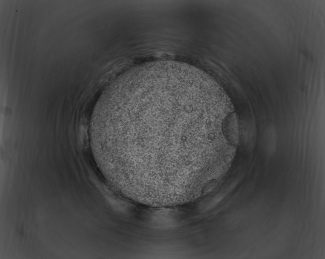 X0000090500527200708031212