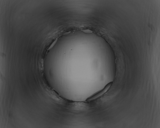 X0000090500528200708031212