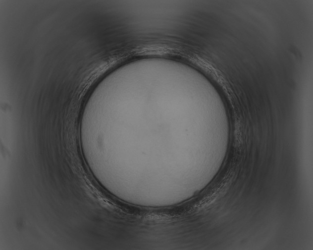 X0000090500529200708031211