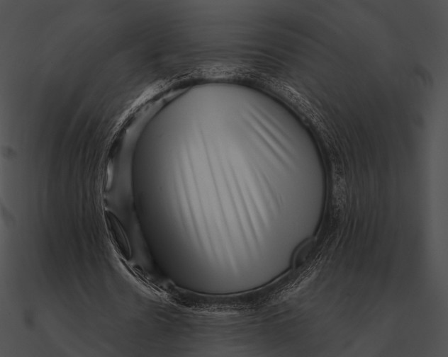 X0000090500530200708031211