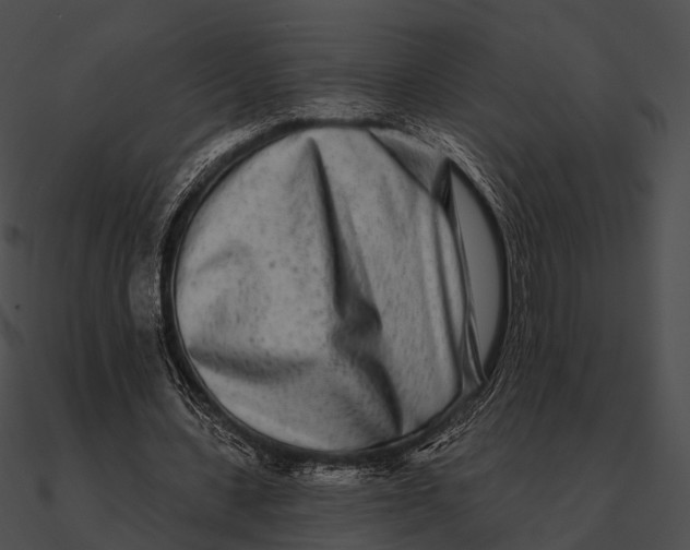 X0000090500531200708031211