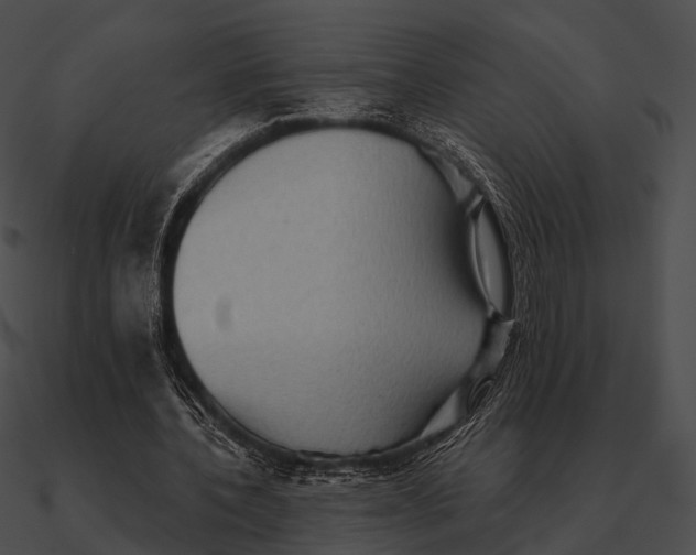 X0000090500532200708031211