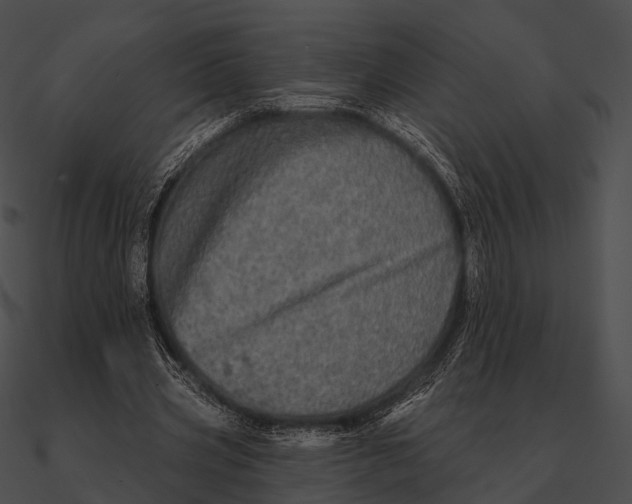 X0000090500533200708031211