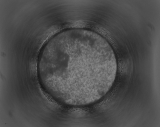 X0000090500534200708031211