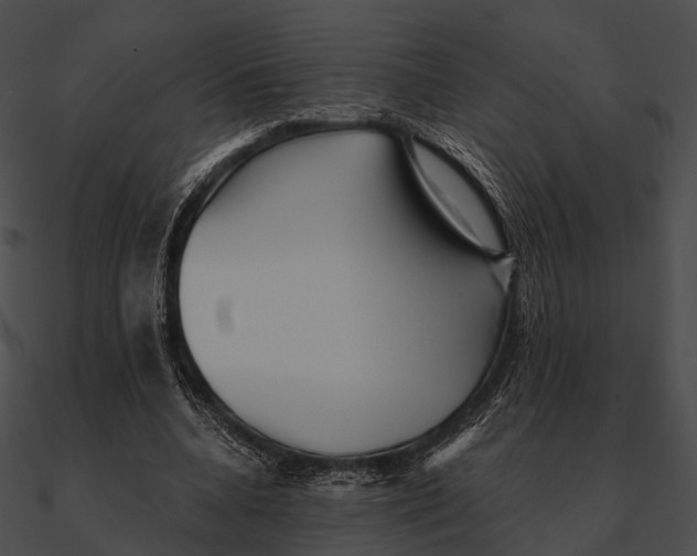 X0000090500536200708031211