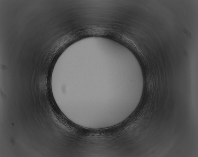 X0000090500538200708031211