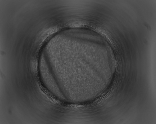 X0000090500539200708031211