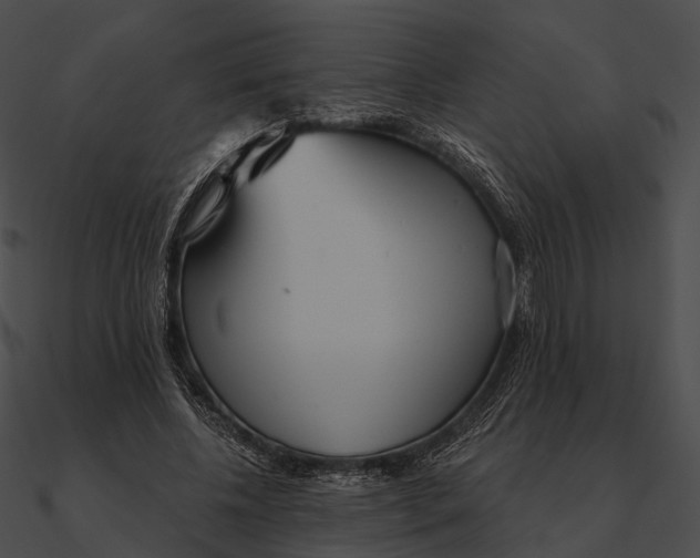 X0000090500540200708031211