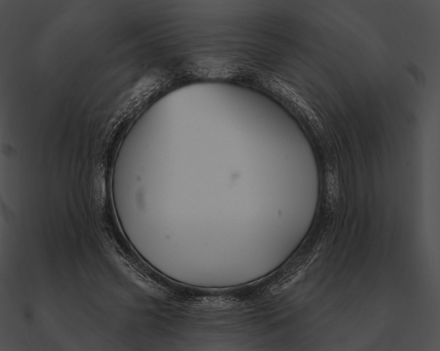 X0000090500541200708031211