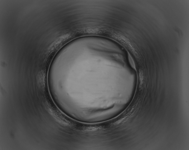 X0000090500542200708031211