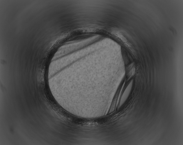 X0000090500543200708031211