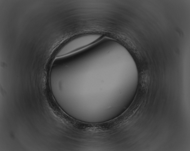 X0000090500544200708031211