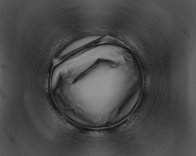 X0000090500545200708031211