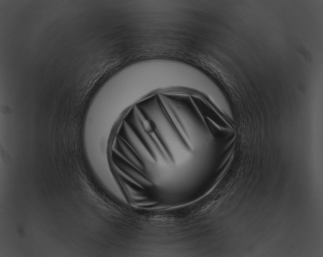 X0000090500546200708031211