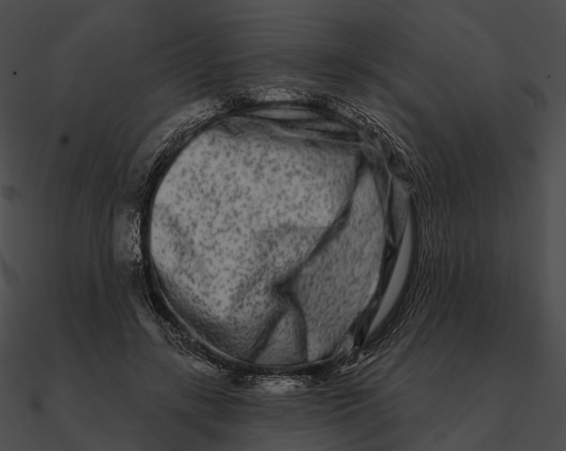 X0000090500547200708031211