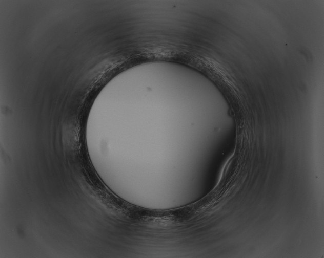 X0000090500548200708031211