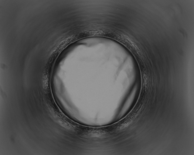 X0000090500549200708031211