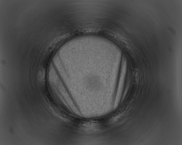 X0000090500550200708031211