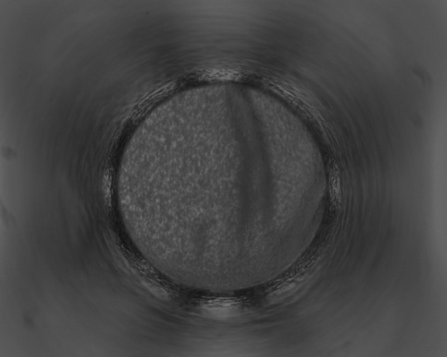 X0000090500551200708031211