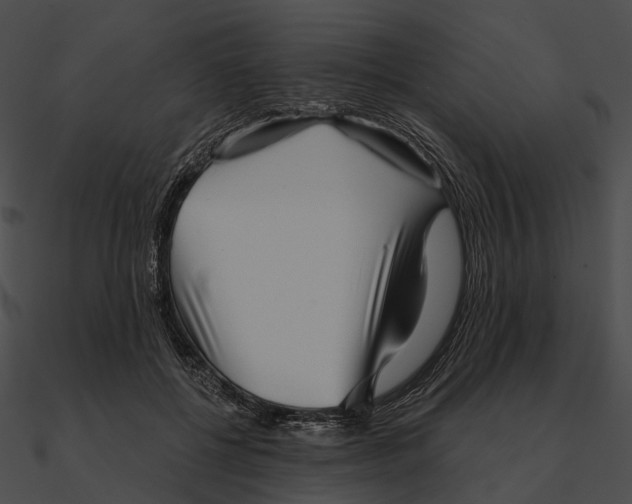 X0000090500552200708031211