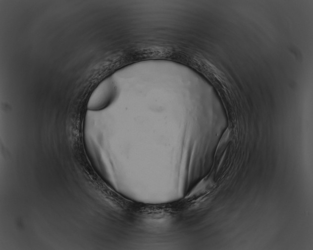 X0000090500553200708031211