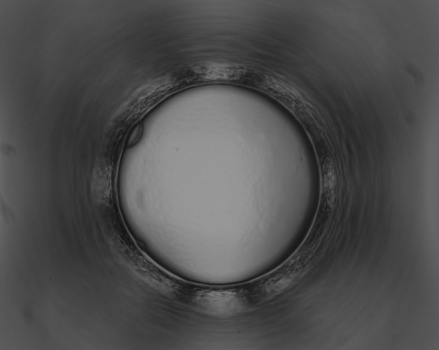 X0000090500554200708031211