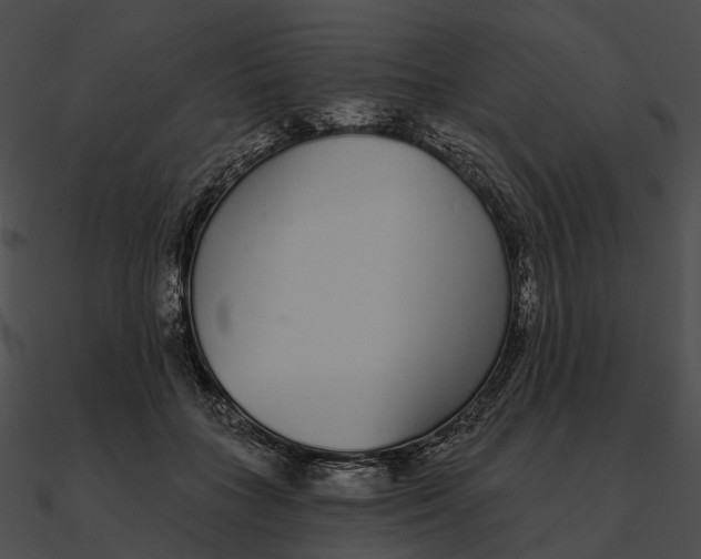 X0000090500555200708031211