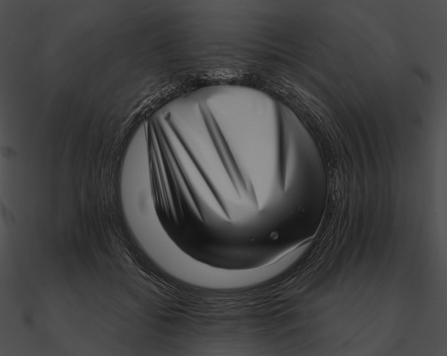 X0000090500556200708031211