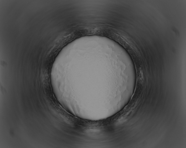 X0000090500557200708031211