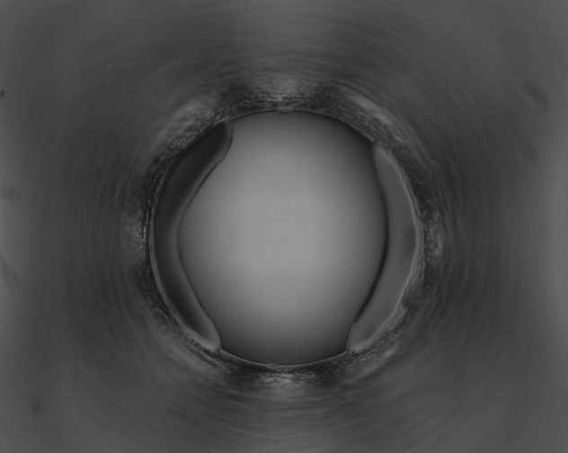 X0000090500558200708031211