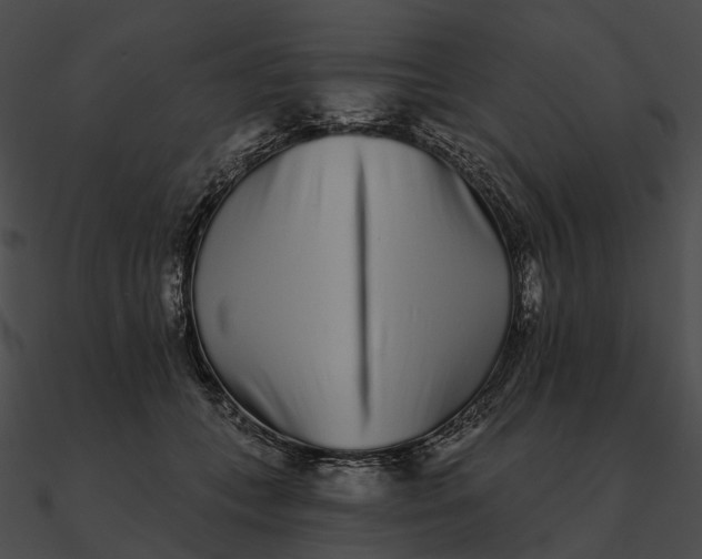 X0000090500559200708031211