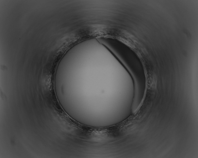 X0000090500560200708031212