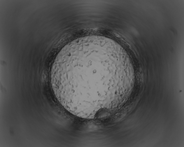 X0000090500561200708031212