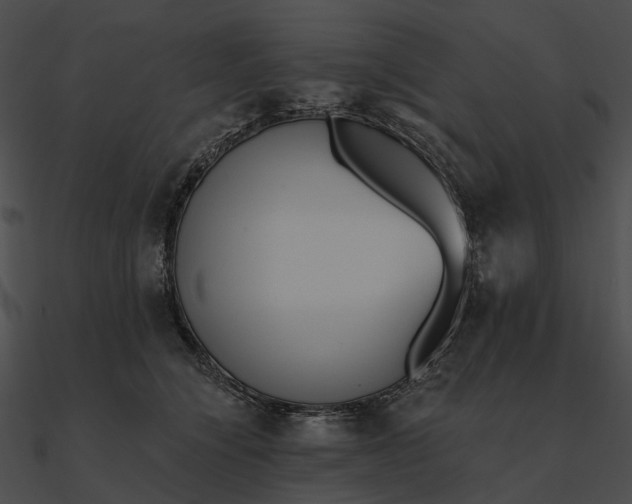 X0000090500564200708031212