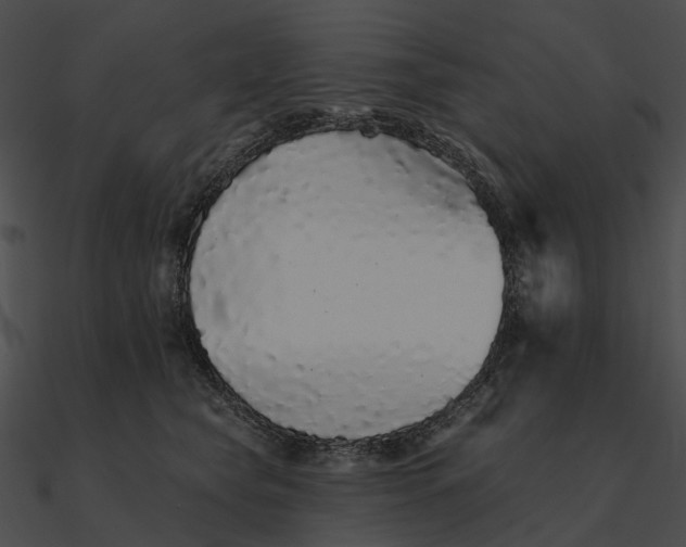 X0000090500565200708031212