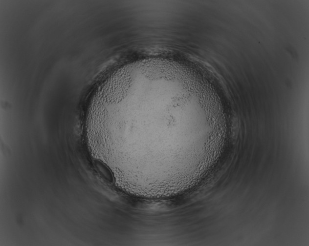 X0000090500569200708031212