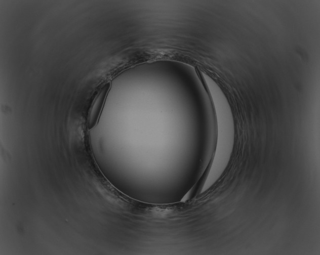 X0000090500570200708031212