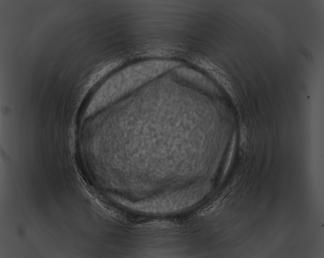 X0000090500578200708031211