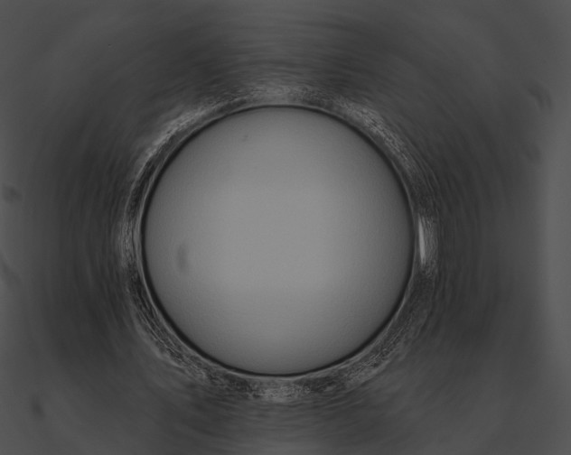 X0000090500579200708031211