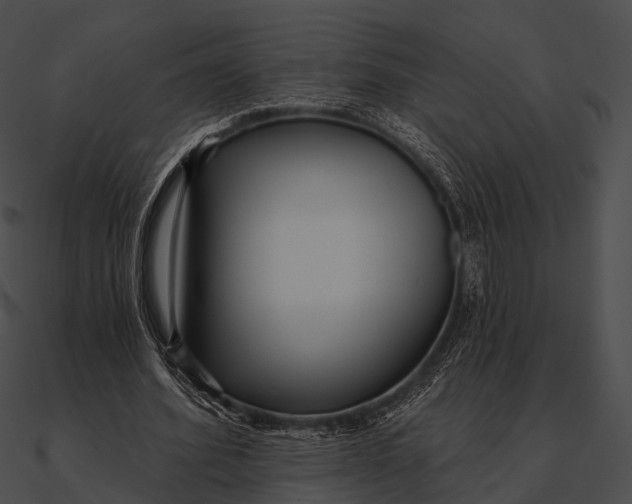 X0000090500580200708031211