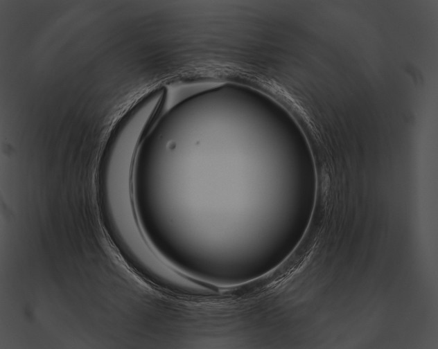 X0000090500581200708031211