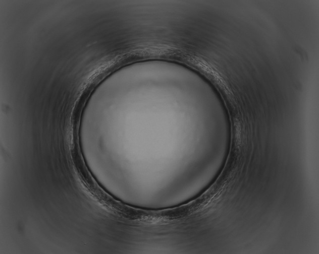 X0000090500582200708031211