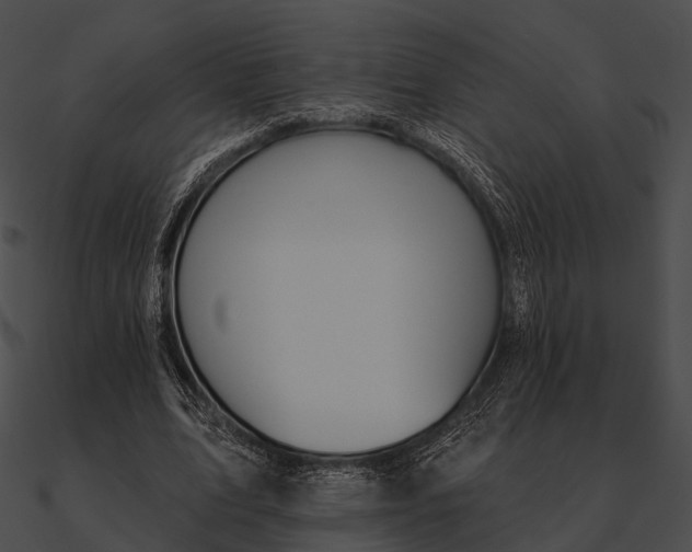 X0000090500583200708031211