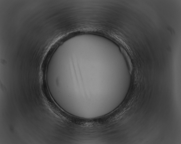 X0000090500584200708031211