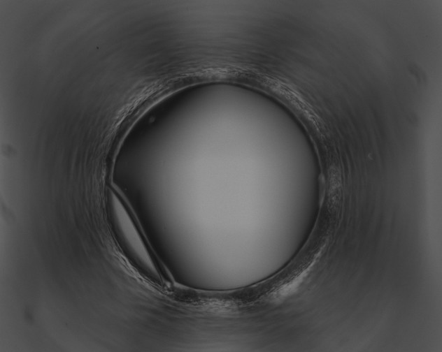 X0000090500585200708031211