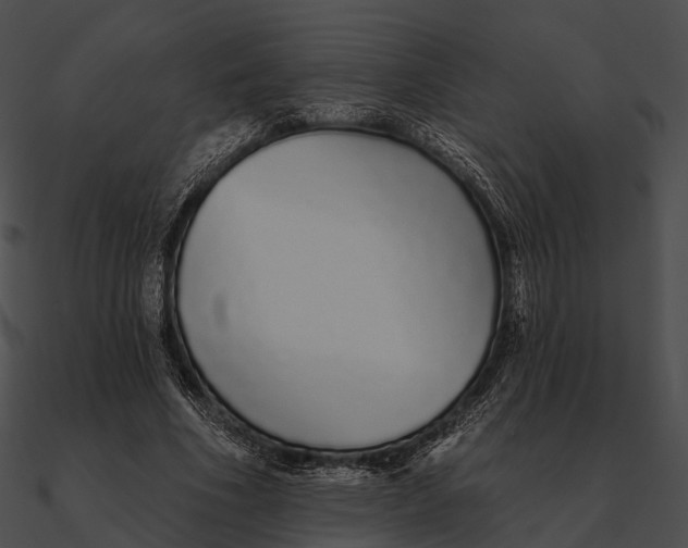 X0000090500586200708031211