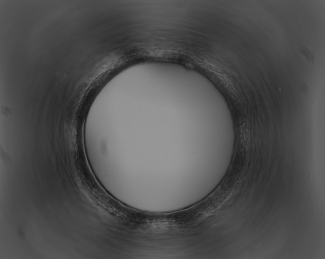 X0000090500587200708031211