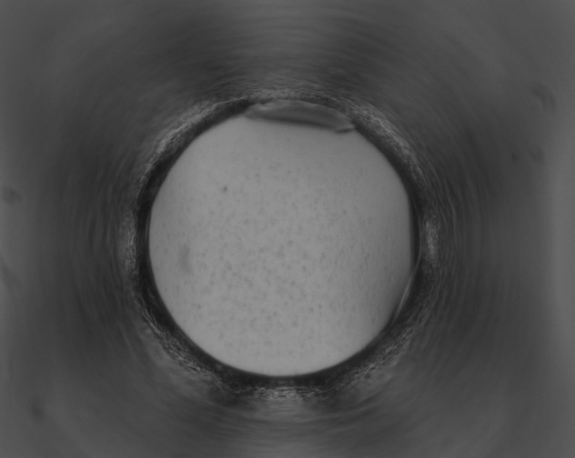 X0000090500588200708031211