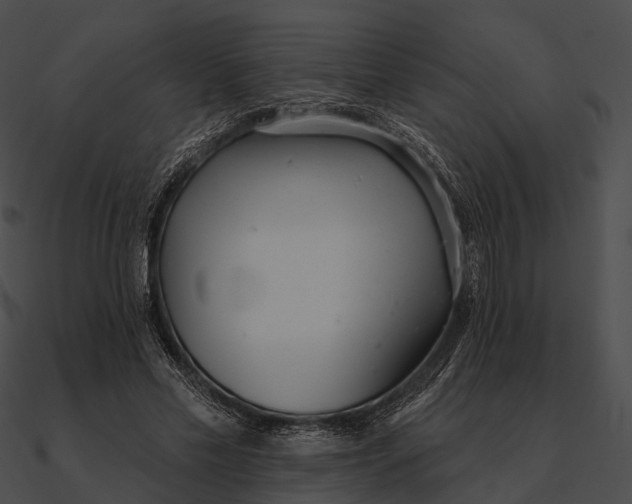 X0000090500589200708031211