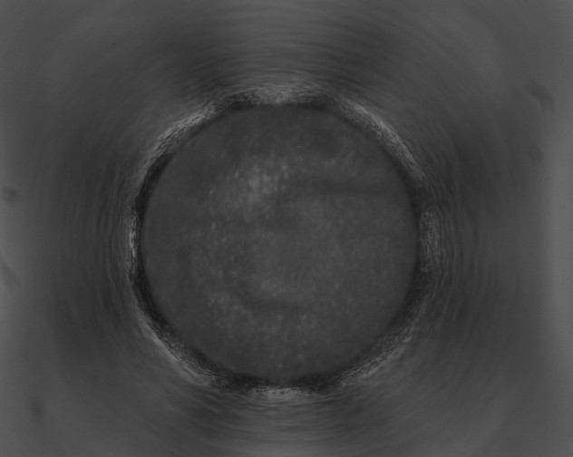 X0000090500590200708031211